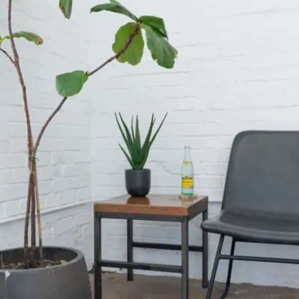 Arrangements & Greenery-Kirkland's Home Agave Arrangement In Black Decorative Pot Green/Black