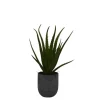 Arrangements & Greenery-Kirkland's Home Agave Arrangement In Gray Decorative Pot Green/Gray