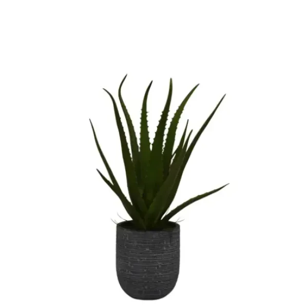 Arrangements & Greenery-Kirkland's Home Agave Arrangement In Gray Decorative Pot Green/Gray