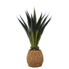 Trees & Topiaries-Kirkland's Home Agave Arrangement In Natural Woven Basket Green