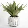 Arrangements & Greenery-Kirkland's Home Agave Succulent In White Pot Green/White