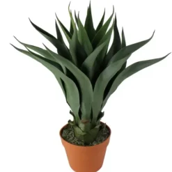 Arrangements & Greenery-Kirkland's Home Agave Succulent Plant In Terracotta Planter Green/Orange