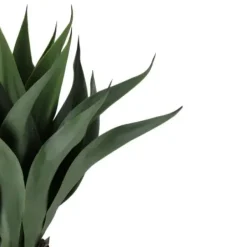 Arrangements & Greenery-Kirkland's Home Agave Succulent Plant In Terracotta Planter Green/Orange