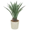 Arrangements & Greenery-Kirkland's Home Aloe Barbadensis In Pebble Planter Green/White