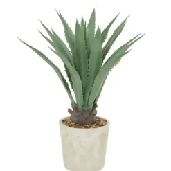 Arrangements & Greenery-Kirkland's Home Aloe Barbadensis In Pebble Planter Green/White