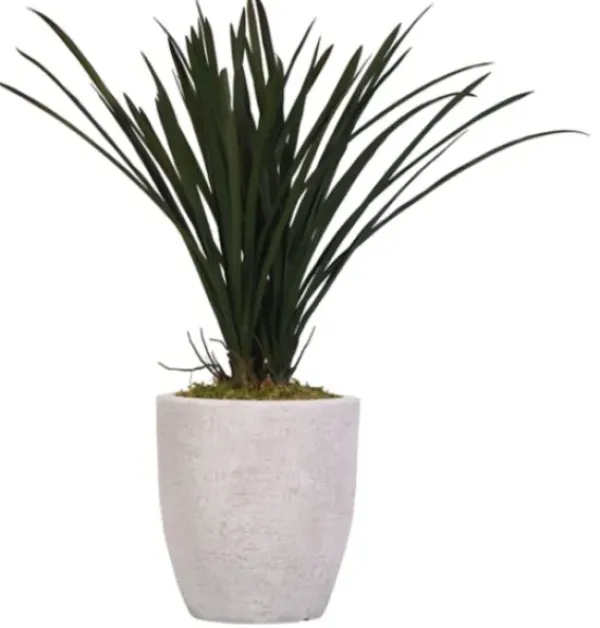 Arrangements & Greenery-Kirkland's Home Areca Grass In Mossy White Planter Green/White
