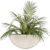 Arrangements & Greenery-Kirkland's Home Areca Palm In Round Sonce Planter Green/White