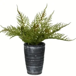 Arrangements & Greenery-Kirkland's Home Asparagus Fern In Tall Black Planter Green/Black