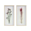 Framed Art-Kirkland's Home Avant Garden Dried Flowers Shadowboxes, Set Of 2 White/Tan/Multi