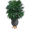 Trees & Topiaries-Kirkland's Home Bamboo Palm With Gray Planter Stand, 3 Ft.