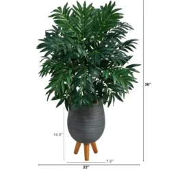 Trees & Topiaries-Kirkland's Home Bamboo Palm With Gray Planter Stand, 3 Ft.