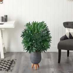 Trees & Topiaries-Kirkland's Home Bamboo Palm With Gray Planter Stand, 3 Ft.