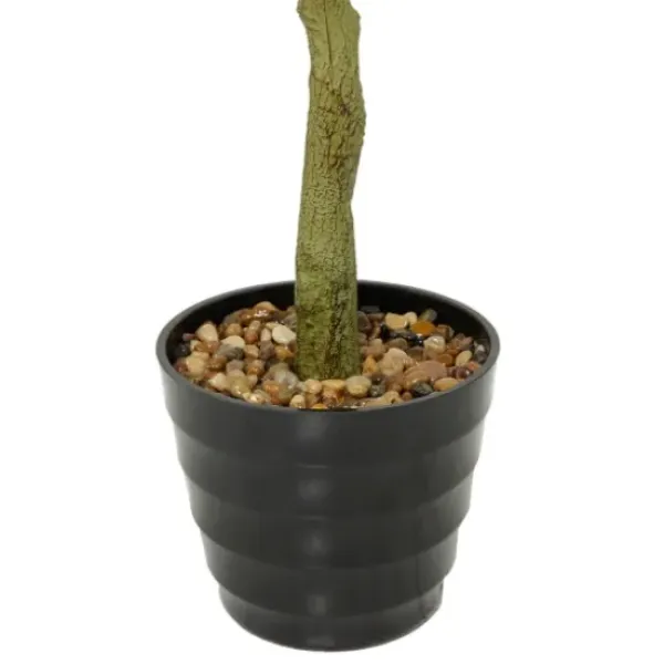 Trees & Topiaries-Kirkland's Home Banyan Tree In Ribbed Rock Planter