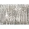 Canvas Art-Kirkland's Home Birch Trees Canvas Art Print Gray