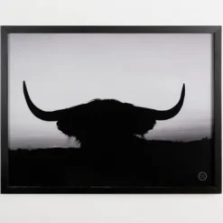 Framed Art-Kirkland's Home Black And White Bull Silhouette Framed Art Print Black/White