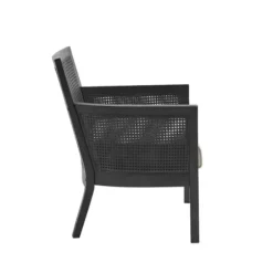 Accent Chairs-Kirkland's Home Black Cane Cushioned Accent Chair Gray