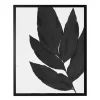 Framed Art-Kirkland's Home Black Cropped Leaf I Framed Art Print Black/White