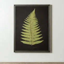 Framed Art-Kirkland's Home Black Fern Iv Framed Art Print Green/Black