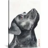 Canvas Art-Kirkland's Home Black Labrador Giclee Canvas Art Print, 18X26 Black/White