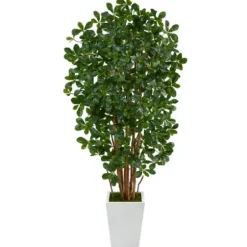 Trees & Topiaries-Kirkland's Home Black Olive Tree In White Planter, 5.5 Ft.