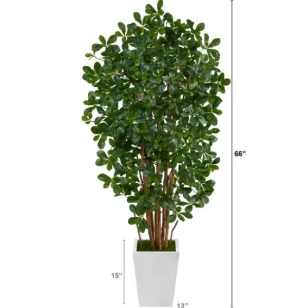 Trees & Topiaries-Kirkland's Home Black Olive Tree In White Planter, 5.5 Ft.