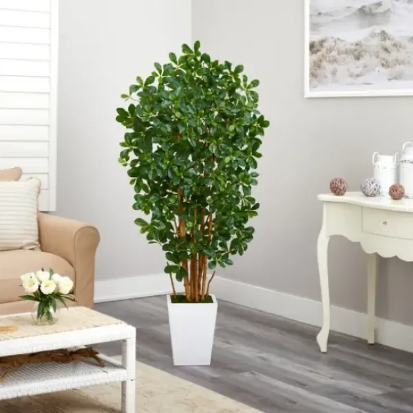 Trees & Topiaries-Kirkland's Home Black Olive Tree In White Planter, 5.5 Ft.
