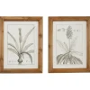 Framed Art-Kirkland's Home Black White Vintage Botanical Framed Art, Set Of 2 Black/White