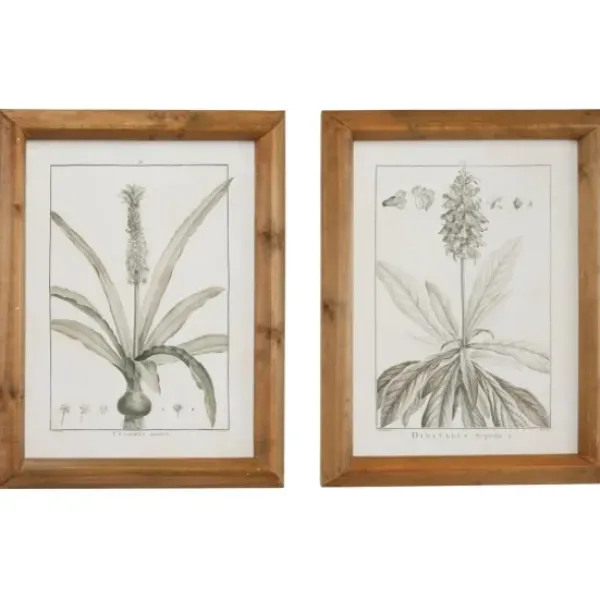 Framed Art-Kirkland's Home Black White Vintage Botanical Framed Art, Set Of 2 Black/White