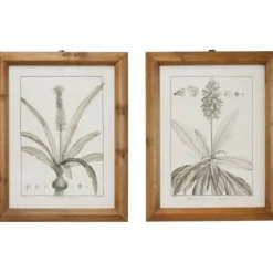 Framed Art-Kirkland's Home Black White Vintage Botanical Framed Art, Set Of 2 Black/White