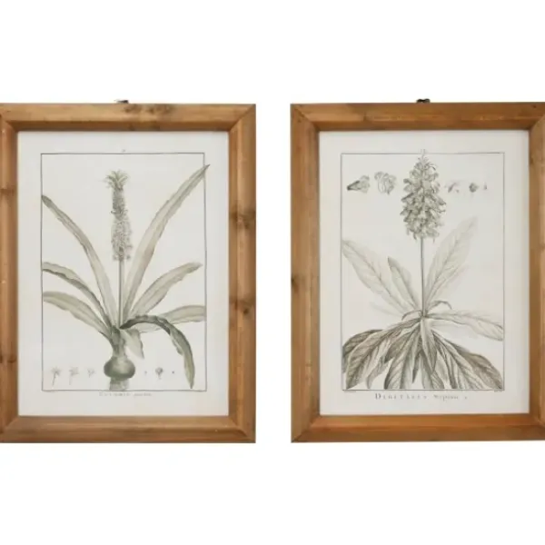 Framed Art-Kirkland's Home Black White Vintage Botanical Framed Art, Set Of 2 Black/White