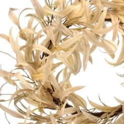 Wreaths-Kirkland's Home Bleached Long Leaf Eucalyptus Wreath Ivory