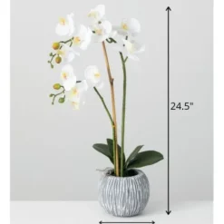 Arrangements & Greenery-Kirkland's Home Blooming White Orchid Potted Floral Arrangement Green/White/Yellow