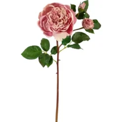 Stems & Bouquets-Kirkland's Home Blush Blooming Rose Stems, Set Of 6 Pink