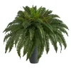 Arrangements & Greenery-Kirkland's Home Boston Fern In Oblong Gray Planter Green/Gray