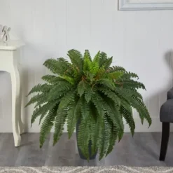 Arrangements & Greenery-Kirkland's Home Boston Fern In Oblong Gray Planter Green/Gray