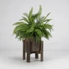 Arrangements & Greenery-Kirkland's Home Boston Fern In Round Wooden Planter With Stand Green