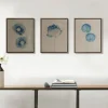 Framed Art-Kirkland's Home Botanical Framed Linen Canvas Art Print, Set Of 3 Blue/Tan