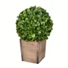 Arrangements & Greenery-Kirkland's Home Boxwood Ball And Wooden Box Arrangement Green