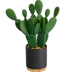 Arrangements & Greenery-Kirkland's Home Bunny Ear Cactus In Black Mod Planter Green/Black