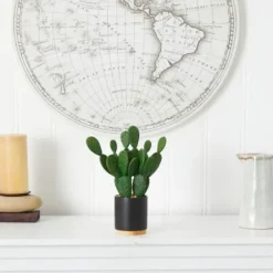 Arrangements & Greenery-Kirkland's Home Bunny Ear Cactus In Black Mod Planter Green/Black