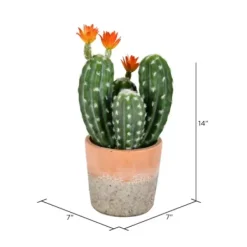 Arrangements & Greenery-Kirkland's Home Cactus In Clay Pot, 14 In. Green