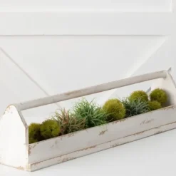 Decorative Trays-Kirkland's Home Carved Wood Trays, Set Of 3 White