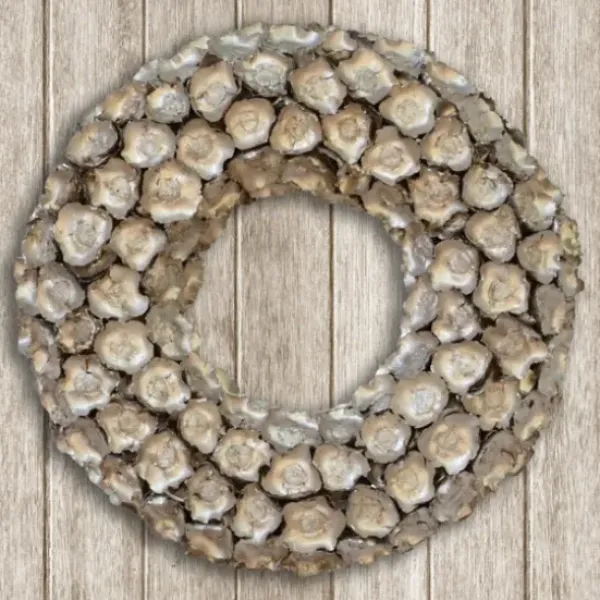 Wreaths-Kirkland's Home Champagne Dried Coco Flower Wreath, 20 In. Silver