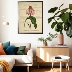 Framed Art-Kirkland's Home Coneflower Botanical Magazine Framed Art Print Multi