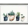Framed Art-Kirkland's Home Deckled Succulent Row Framed Art Print White/Green/Blue/Brown