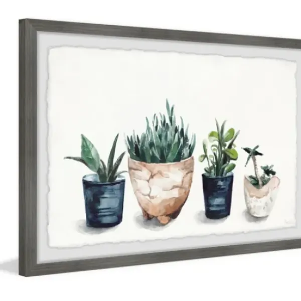 Framed Art-Kirkland's Home Deckled Succulent Row Framed Art Print White/Green/Blue/Brown