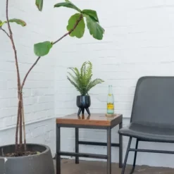 Arrangements & Greenery-Kirkland's Home Desktop Palm Plant In Black Planter Green/Black