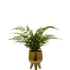 Arrangements & Greenery-Kirkland's Home Desktop Palm Plant In Gold Planter Green/Gold