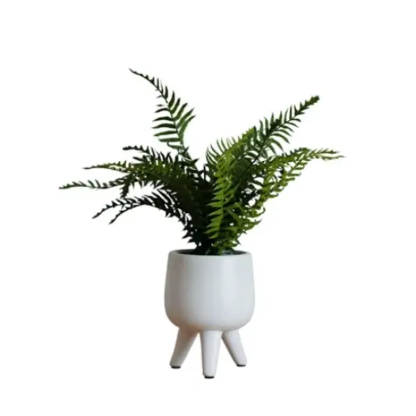 Arrangements & Greenery-Kirkland's Home Desktop Palm Plant In White Planter Green/White