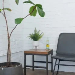 Arrangements & Greenery-Kirkland's Home Desktop Palm Plant In White Planter Green/White